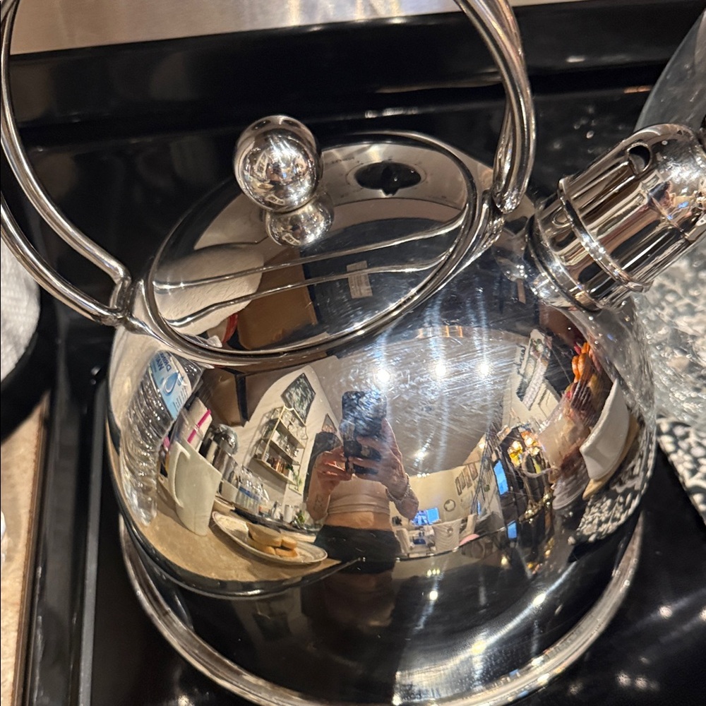 Kohl's Polished Silver Tea Kettle
